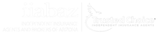 IIABAZ Logo White